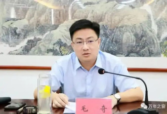 毛奇终于被“双开”了，我却一点也高兴不起来