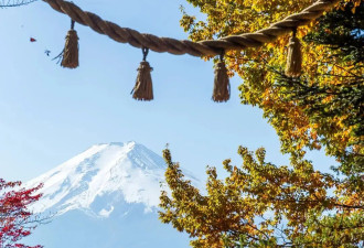 接下来的日本比你想象的更美 看那红叶漫山遍野