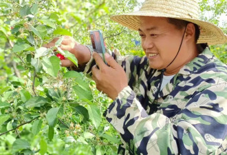 辞职去种桃的农学硕士：在镜头前，她有70万学员