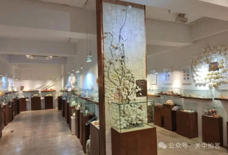 韩国济州岛：参观世界贝壳博物馆