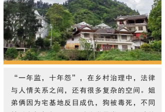 两只土狗死亡背后，乡村纠纷调解“秘籍”