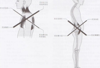 10分钟! 就能改善体态、缓解肩颈痛