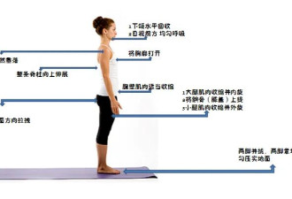 10分钟! 就能改善体态、缓解肩颈痛