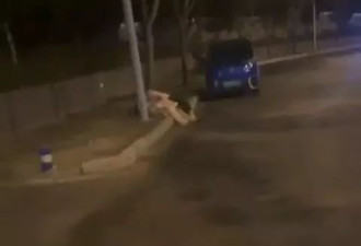 捡尸活春宫？网传醉女被当街性侵自杀亡 震警揭“逆转真相”