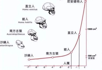 大多数动物出生就能走路 人类为何不行？