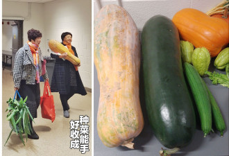合着秋天的脚步，绿橡树的长者们欢庆丰收的喜悦！