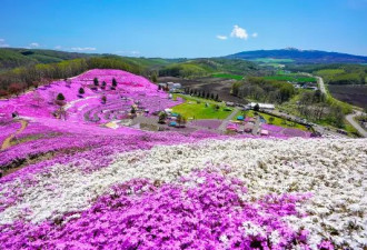 日本旅游必打卡 这些绝美景点让你流连忘返