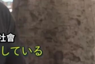 和气猫 ：住过日本的美国人：“美国更像中国”