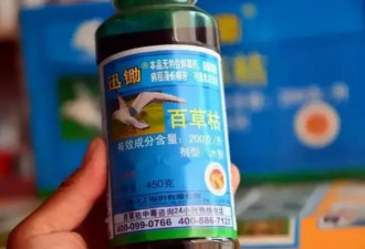 没人能生还？28天抢救后，奇迹出现了