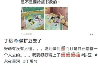 刘涛离婚了？绿大暗追求赵燕子的细节？虞书欣...