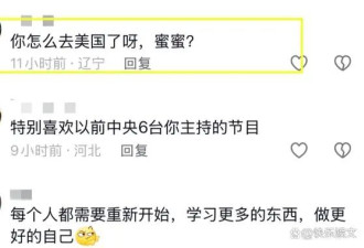 前央视最美主持人李蜜离职 定居美国惹热议