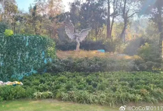 姐姐回应李玟墓地杂草丛生，斥有人打扰先人安宁