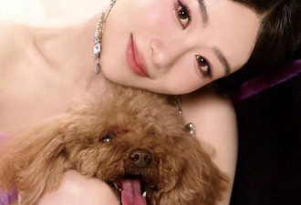 杨紫晒出32岁生日近照，却被媒体痛批整容太过