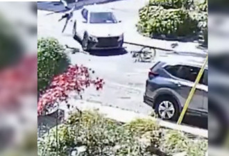 汽车超速闯stop sign：多伦多骑车男子被撞后抛向空中
