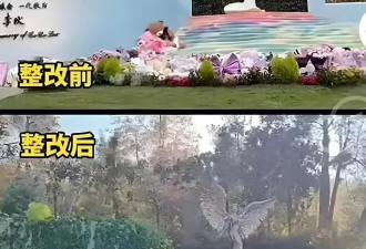 李玟墓地荒草丛生很凄凉，网友痛心疾首喊话粉丝：别只是嘴上怀念