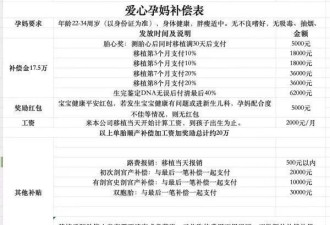 一个代孕流产女孩的自白：困难的人会想走捷径