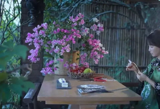 停更三年后回归 李子柒自曝：脸曾肿成“电视机”