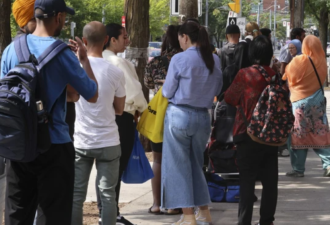 85%新移民抵达加拿大"活不起"! 食品银行遭348万人疯抢!