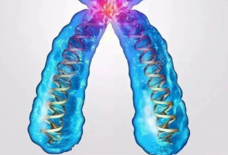 血型和父母不匹配 一定不是亲生的吗？