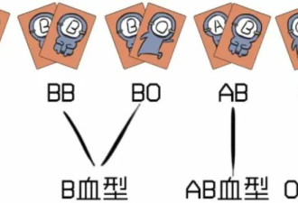 血型和父母不匹配 一定不是亲生的吗？