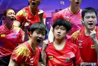 3-1横扫打哭日本冠军 林诗栋连夺5个冠军