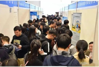 瞬间破防! 学费花了40万,月薪4千
