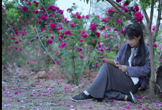 N刷李子柒归来的三期视频，扒透了她的新中式穿搭秘诀