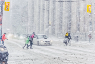大多伦多第一波降雪最快下周杀到!惊人预测:安省将迎30cm暴雪!