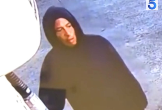专以女性为目标！男子涉嫌在洛杉矶多地暴力劫车