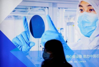 中国芯快灭顶！中企悲叹求助无门