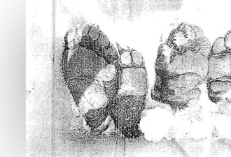 加拿大华人男子买这东西给家人熬中药，被判罚款$8600
