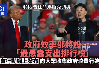 领导政府效率部 马斯克称将设“愚蠢支出榜”