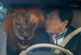 成龙地位有多高？迪拜王子听说他要来，直接拿出几十辆豪车给他砸