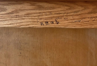 一大波海外华人正在反润回国...