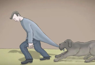 一大波海外华人正在反润回国...