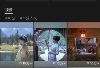 揭秘李子柒，打脸无数人：不争是争，争是不争