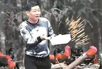 “三德子”养鸡身价上亿，娶小15岁模特娇妻