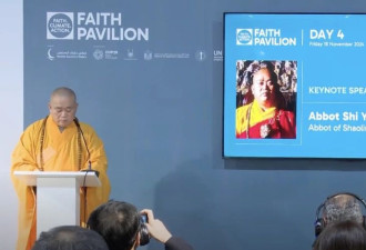 少林寺方丈释永信 在联合国气候大会发言