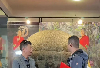 笑喷！李亚鹏想350万卖6吨沱茶，曝500元一公斤，夸上天也无人买