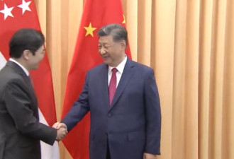 习近平甩开膀子豁出去了 1天见6国元首
