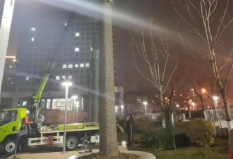 “山西清徐违规花上千万建景观”：仿真椰树已暂停拆移