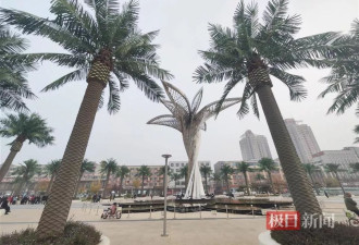 “山西清徐违规花上千万建景观”：仿真椰树已暂停拆移