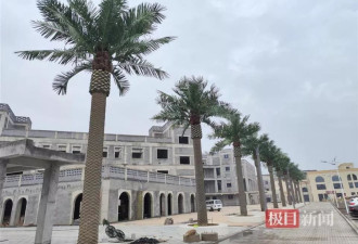 “山西清徐违规花上千万建景观”：仿真椰树已暂停拆移