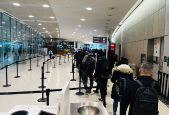 移民顾问作妖，加拿大今年查获超一万封造假的留学录取通知书
