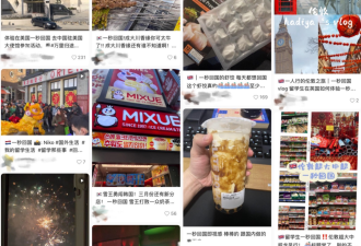 我，美国留学生，假装在国内