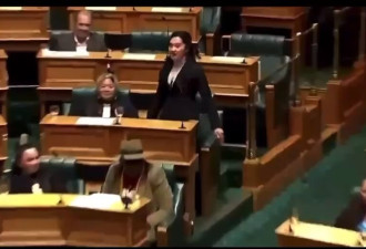 新西兰国会激辩 毛利人议员愤而群起唱跳土著战歌