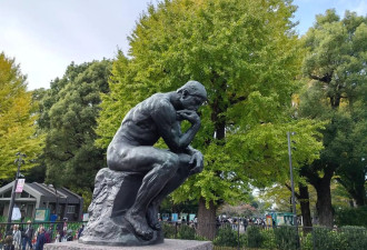漫游日本东京上野公园 繁花似锦醉游人