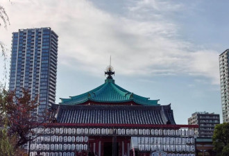 漫游日本东京上野公园 繁花似锦醉游人