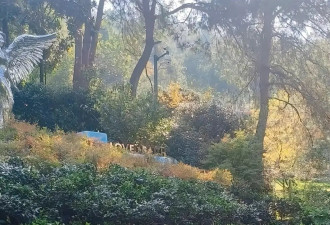 网传李玟墓地杂草丛生？亲姐发文回应，原来“罪魁祸首”另有其人