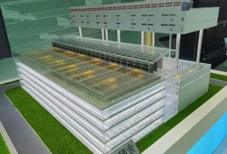 有人年薪70万!养猪这么赚钱?起底高薪之谜